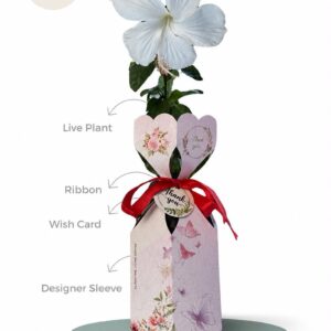 giftings