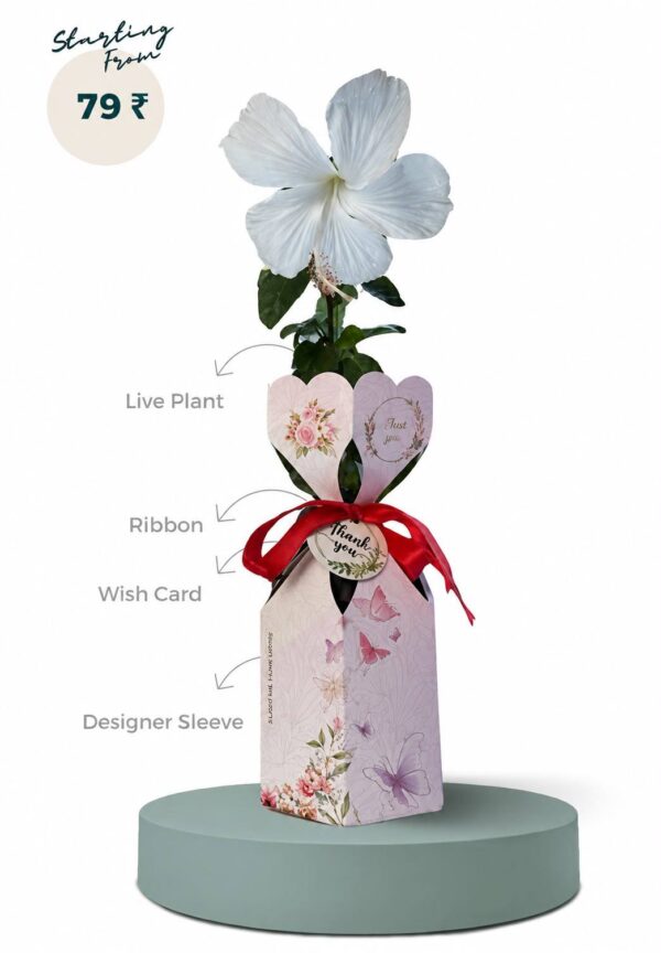 giftings
