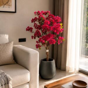 Baugainvillea - 4 Feet