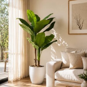 Banana Tree