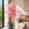 Cherry Tree - 4.20Feet