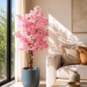 Cherry Tree - 4.20Feet