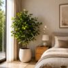 Combo-Red Bougainvillea Tree, elegant Pink Cherry Blossom Tree,lush Green Ficus Tree.