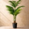 Palm Tree - 4Feet