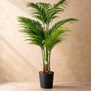 Palm Tree - 4Feet