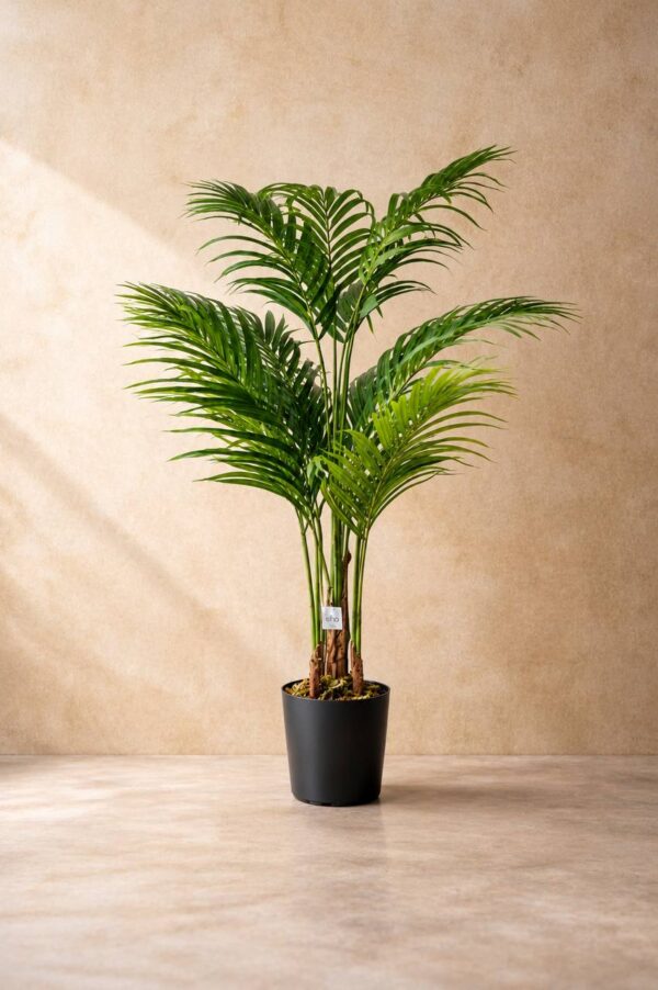 Palm Tree - 4Feet