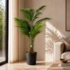 Palm Tree - 4Feet