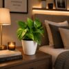 Money Plant