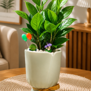 ZAMIA (ZZ Plant)