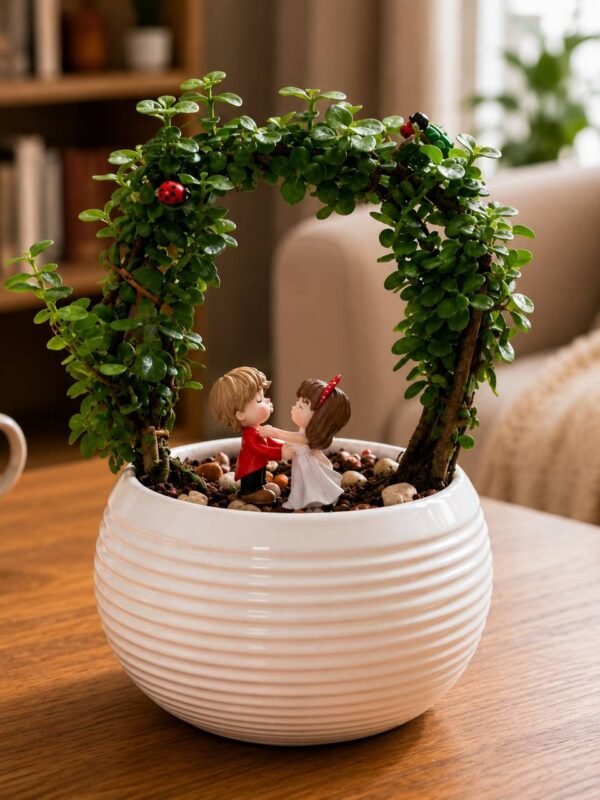 Jade Gate Plant