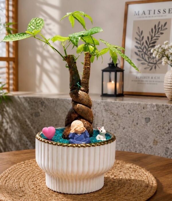 Money Tree