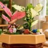 Couple Tray Garden