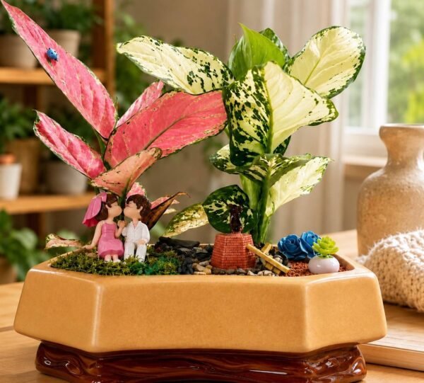 Couple Tray Garden