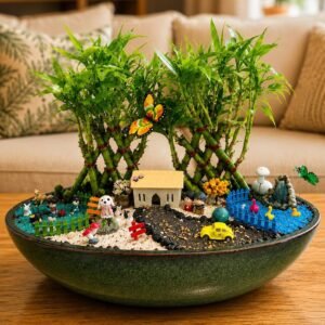 Lucky Bamboo Pyramid Tray Garden