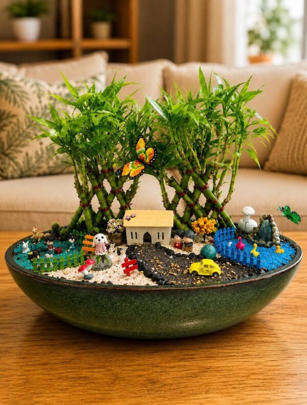 Lucky Bamboo Pyramid Tray Garden