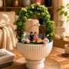 Jade bonsai plant