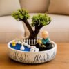 Dwarf Jade Plant
