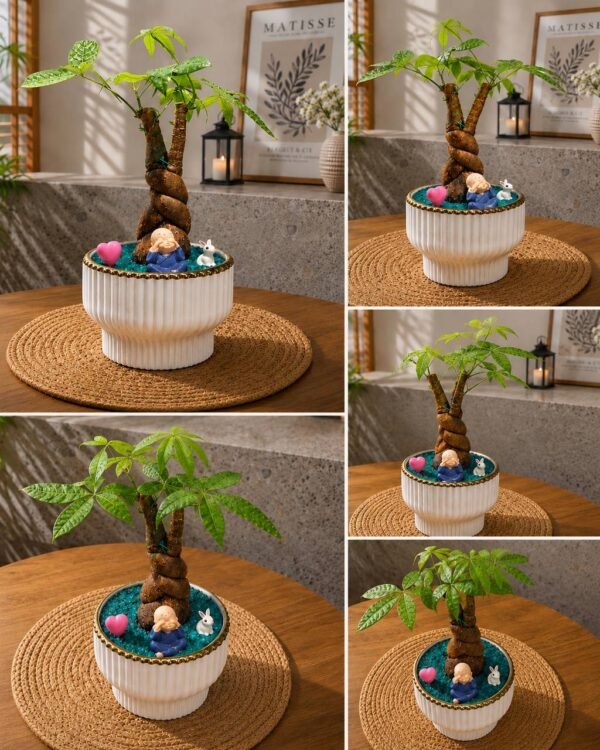 Money Tree