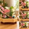 Couple Tray Garden