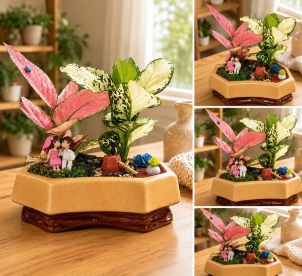 Couple Tray Garden