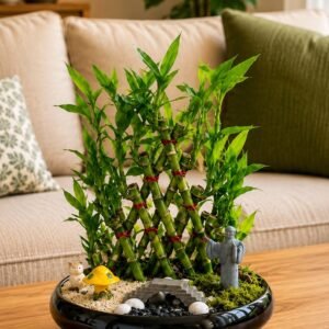 Lucky Bamboo Pyramid