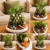 Lucky Bamboo Pyramid