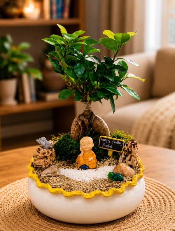 Ficus Ginseng Bonsai