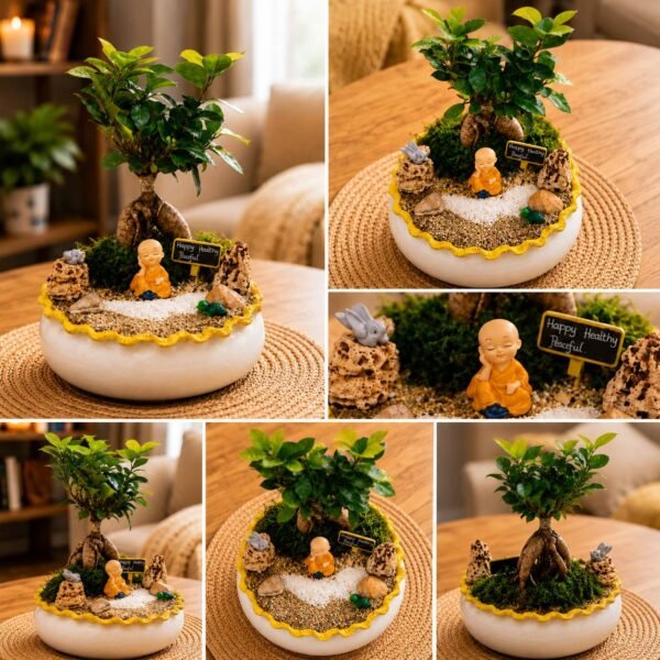 Ficus Ginseng Bonsai