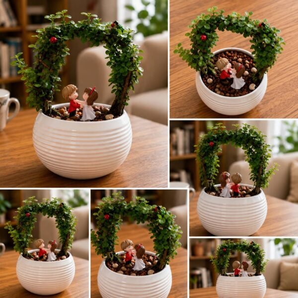 Jade Gate Plant