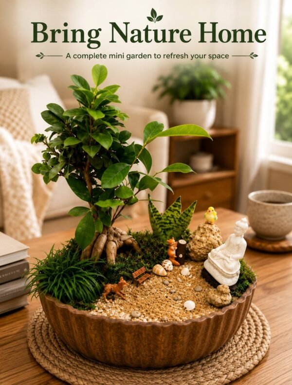 Ficus Ginseng Bonsai